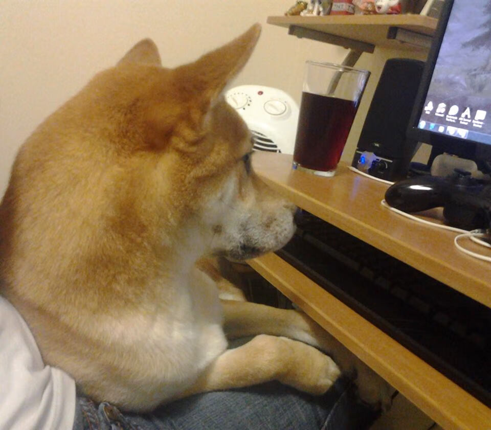 pg电子官网-足球史话再添奇篇，苏格兰震撼终结秘鲁，一夫当关的凯塞多赛后评分拉满